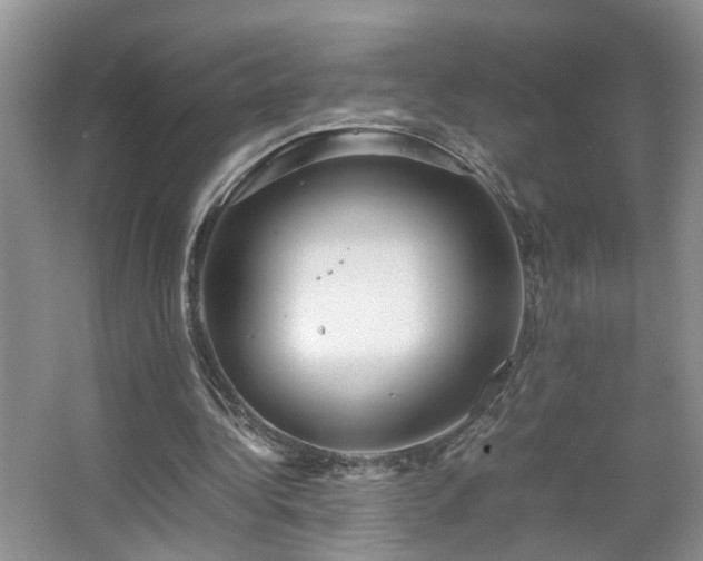 X0000067500340200604071232