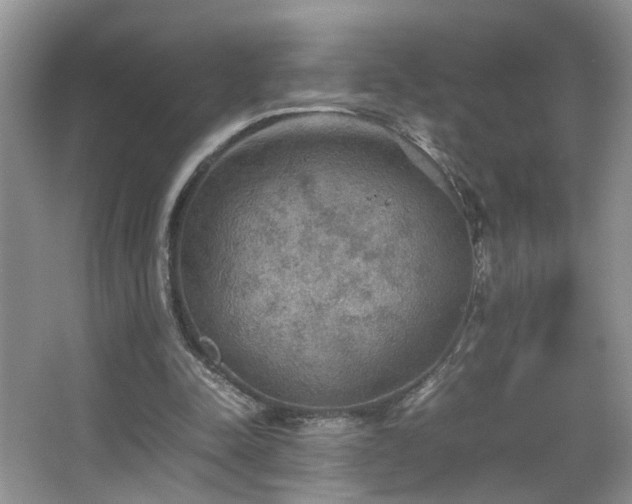 X0000067500342200604071232