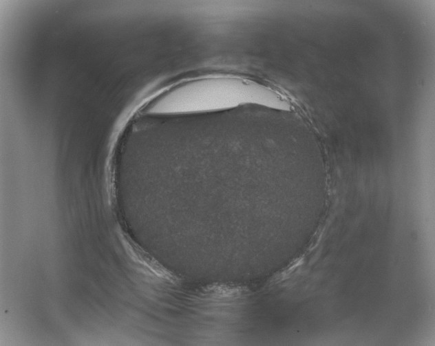 X0000067500343200604071232