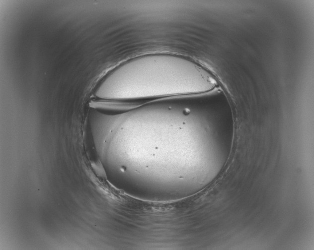 X0000067500345200604071232