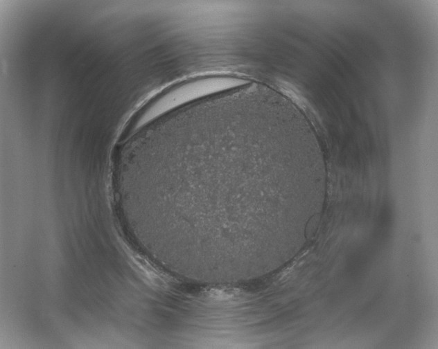 X0000067500346200604071232