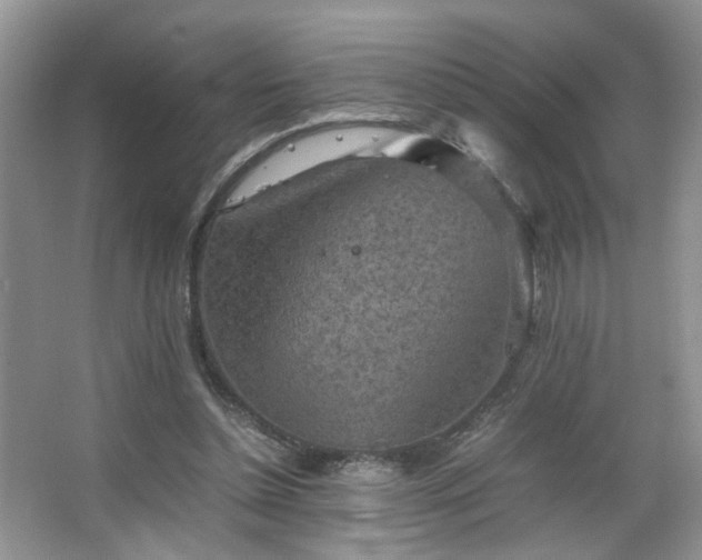 X0000067500348200604071232