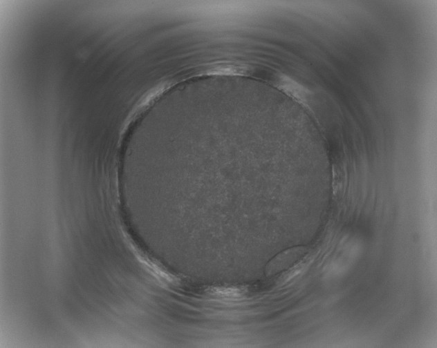 X0000067500349200604071232