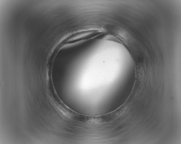 X0000067500350200604071232