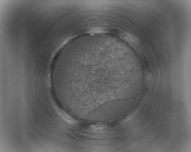 X0000067500351200604071232