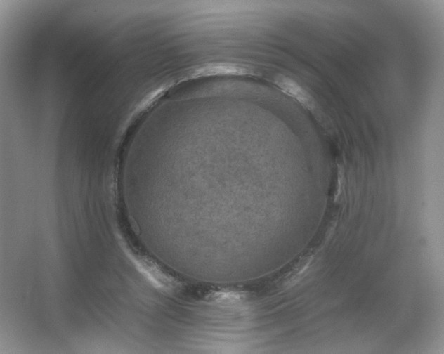 X0000067500352200604071232