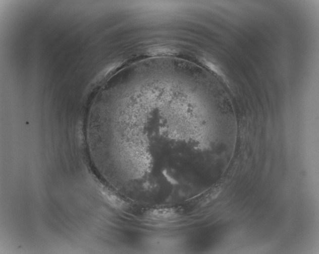 X0000067500353200604071232