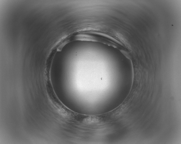 X0000067500354200604071232