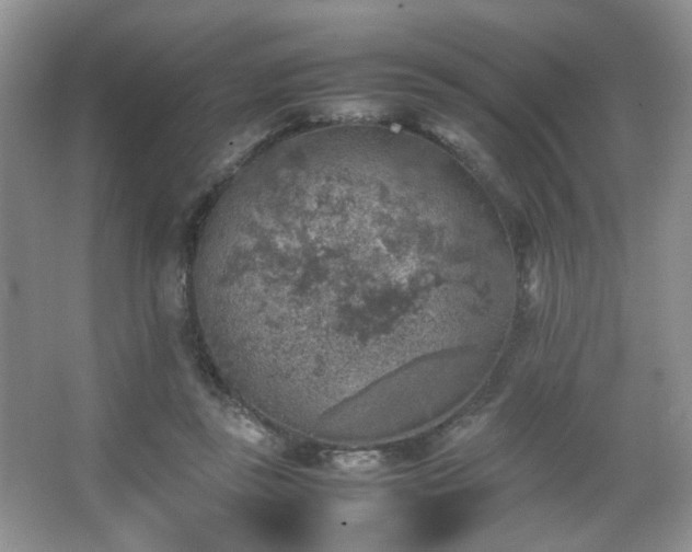 X0000067500355200604071232