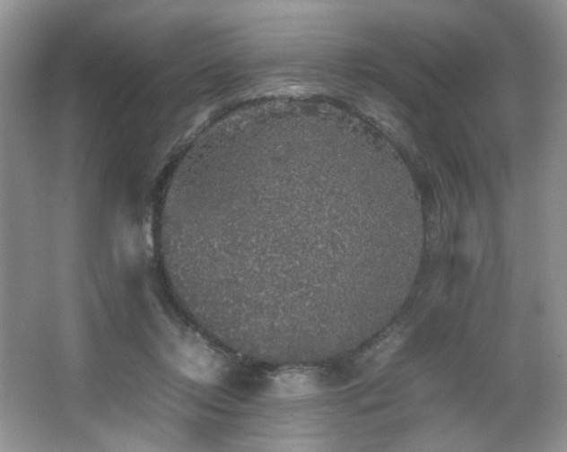 X0000067500358200604071232