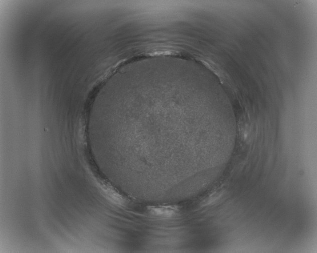 X0000067500359200604071232