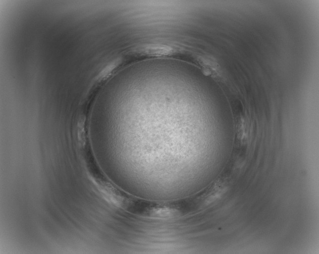 X0000067500360200604071232