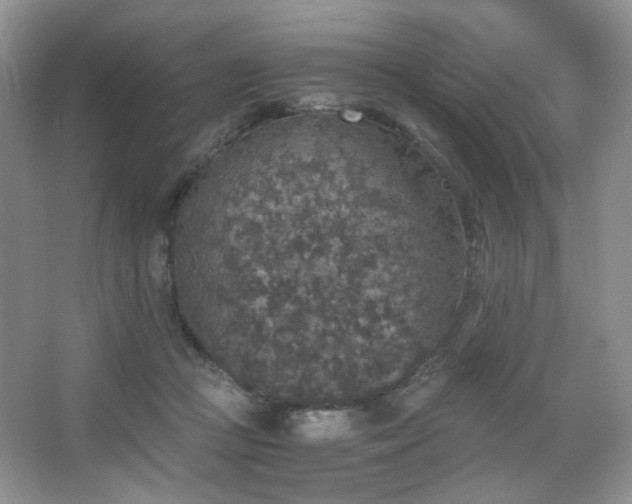 X0000067500361200604071232