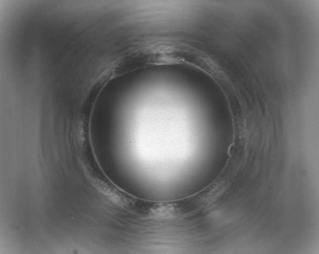 X0000067500362200604071232