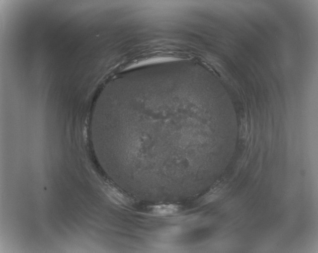 X0000067500363200604071232