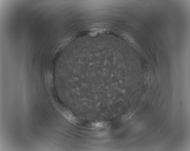 X0000067500365200604071232