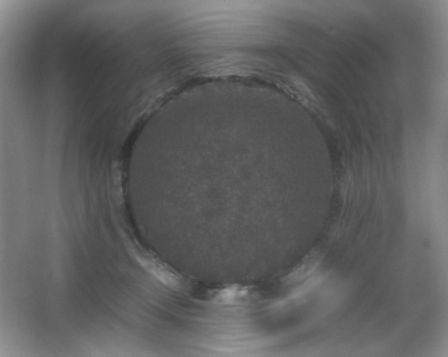 X0000067500366200604071232