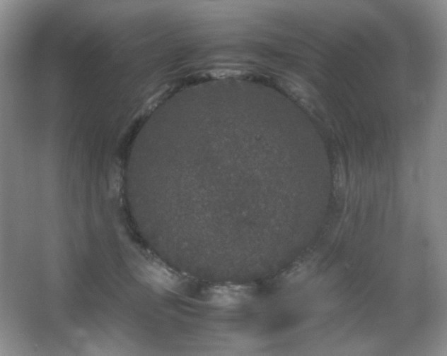 X0000067500367200604071232