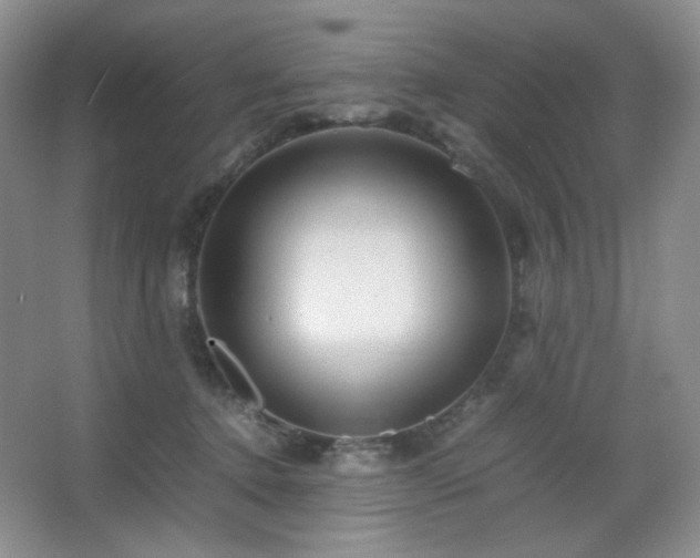 X0000067500368200604071232