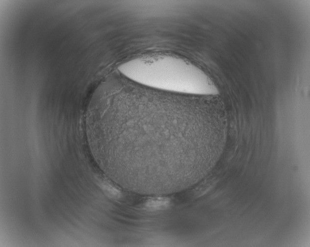 X0000067500369200604071232