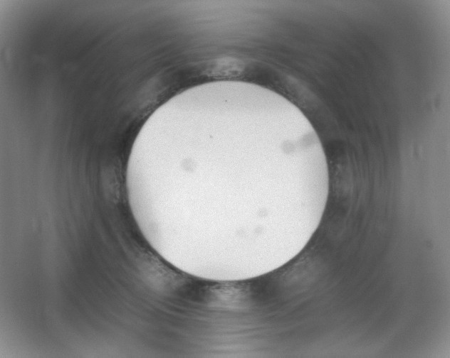 X0000067500370200604071232