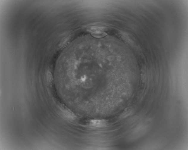 X0000067500371200604071232