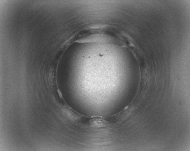 X0000067500372200604071232