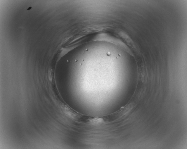 X0000067500374200604071232