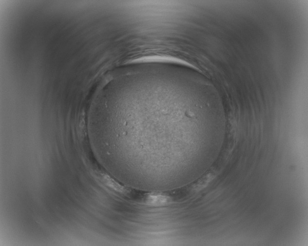 X0000067500376200604071232