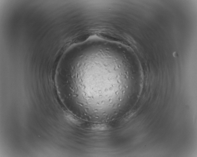 X0000067500377200604071232