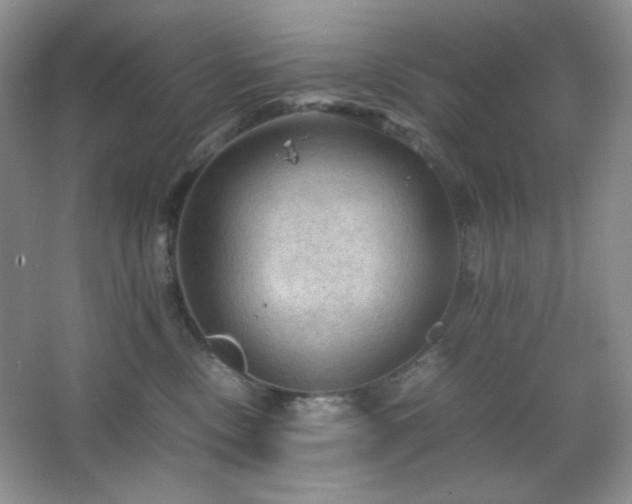 X0000067500378200604071232