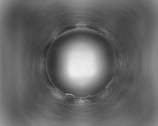 X0000067500379200604071232