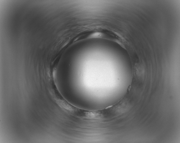 X0000067500380200604071232