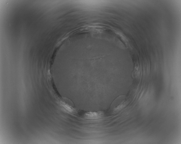 X0000067500381200604071232