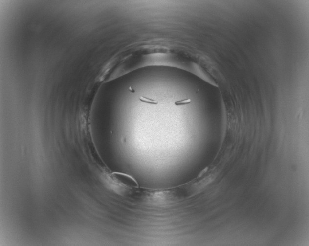 X0000067500382200604071232