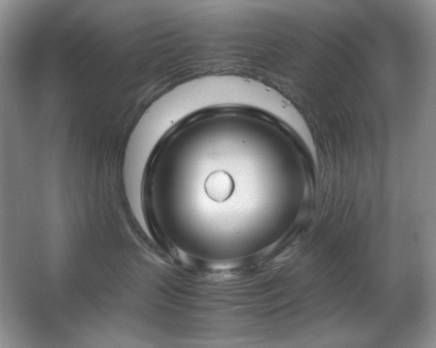 X0000067500383200604071233