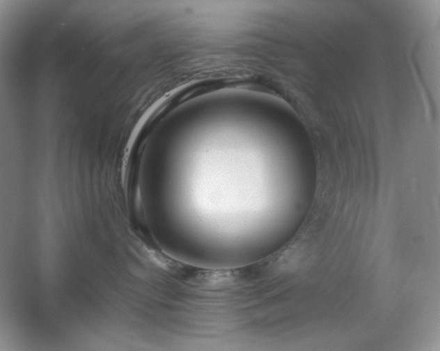 X0000067500384200604071233