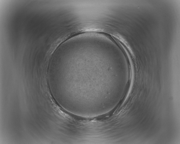 X0000067500385200604071232