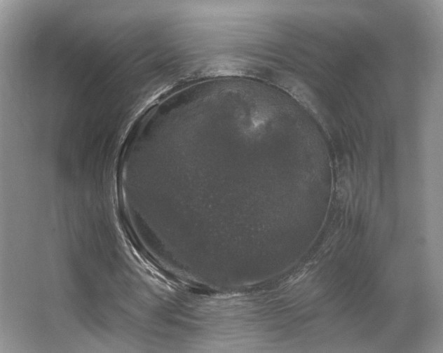 X0000067500386200604071232