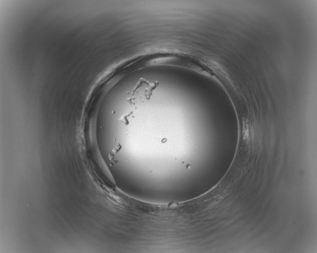 X0000067500388200604071232