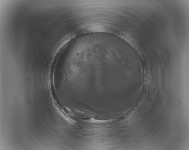 X0000067500390200604071232