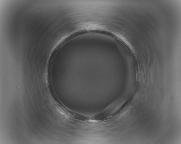 X0000067500391200604071232