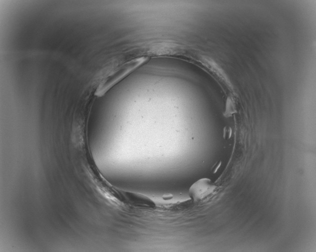 X0000067500393200604071232