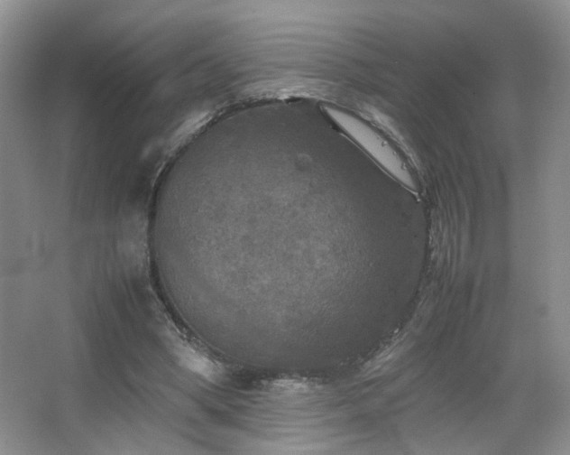 X0000067500394200604071232