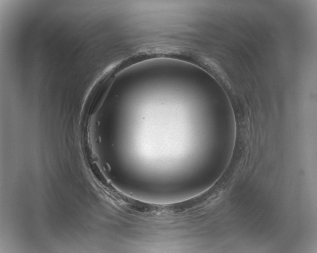 X0000067500395200604071232