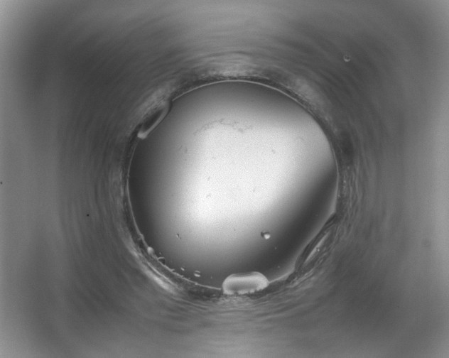 X0000067500397200604071232