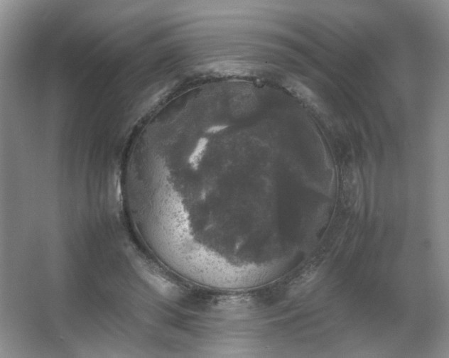 X0000067500398200604071232