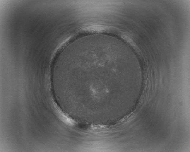 X0000067500399200604071231