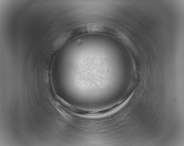 X0000067500401200604071231