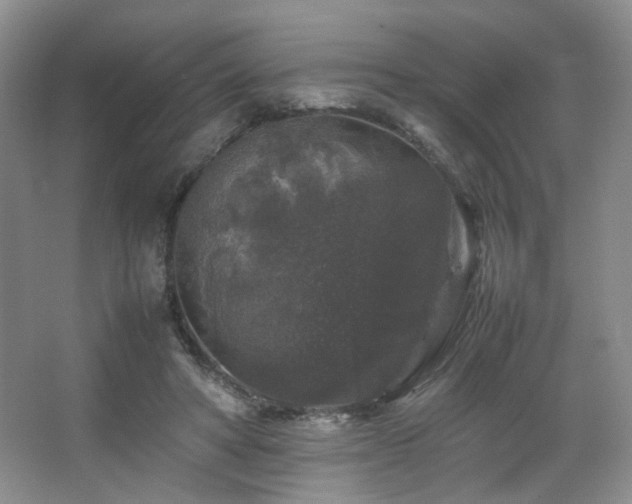 X0000067500402200604071231